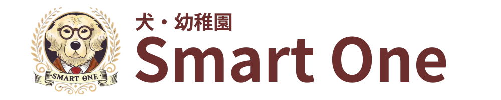 香川県で犬のしつけにお困りなら犬・幼稚園Smart One